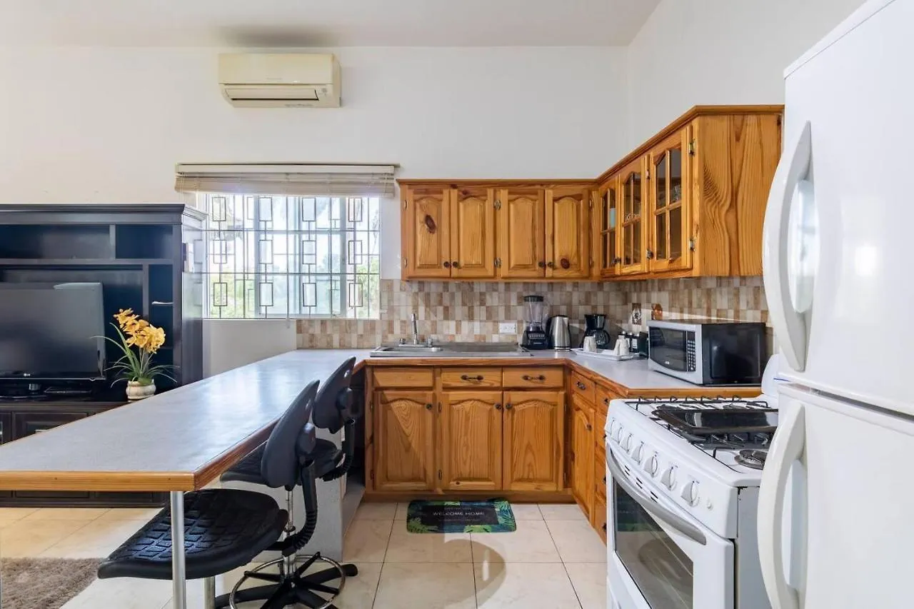 Lovely 1-Bed In Montego Bay-Rose View Apartment