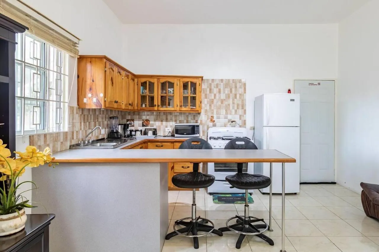 Lovely 1-Bed In Montego Bay-Rose View Apartment