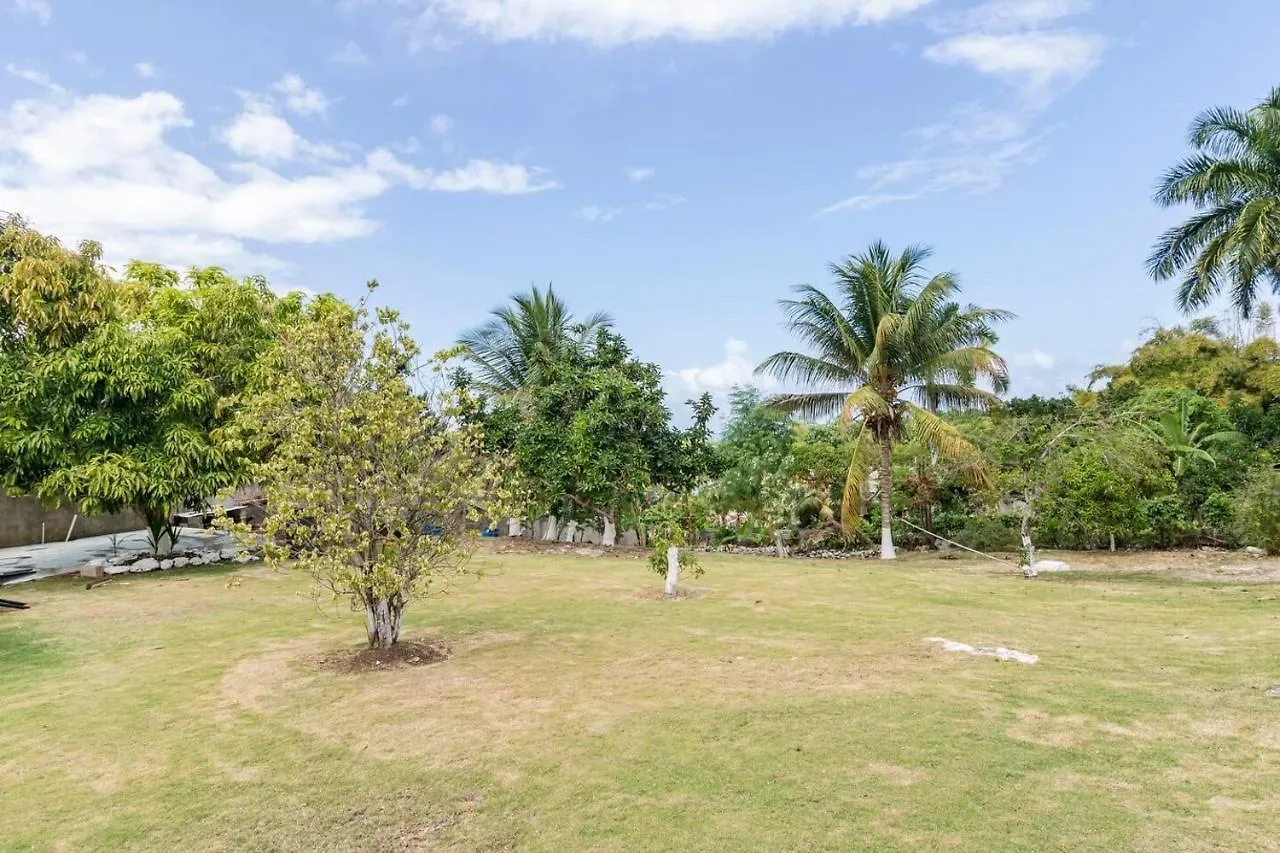Lovely 1-Bed In Montego Bay-Rose View Apartment