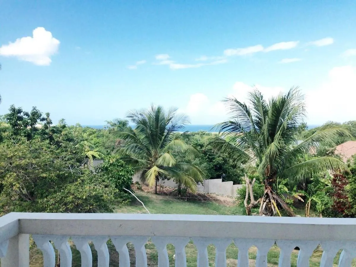 Lovely 1-Bed In Montego Bay-Rose View Apartment