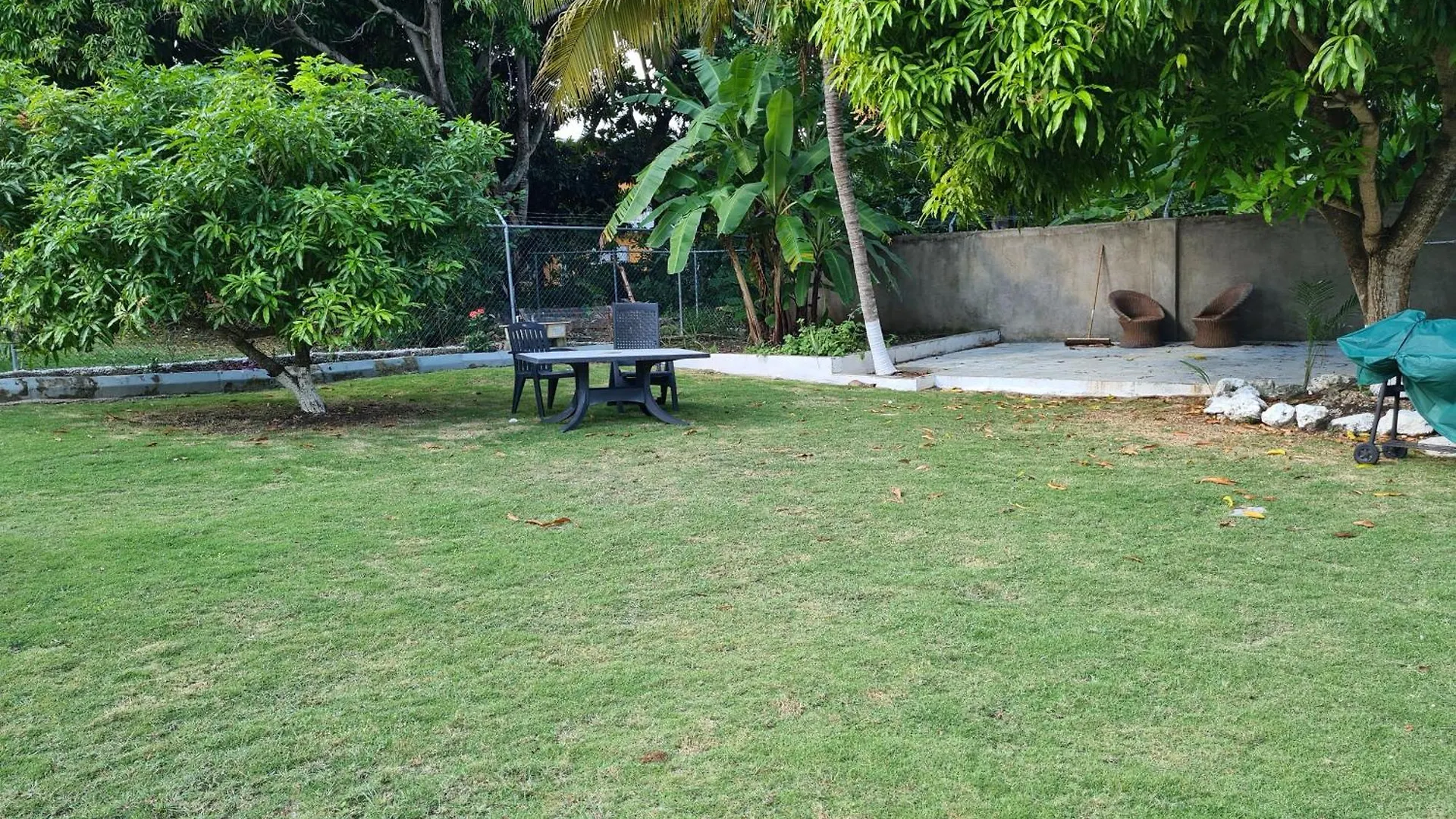 Lovely 1-Bed In Montego Bay-Rose View Apartment 0*,  Jamaica